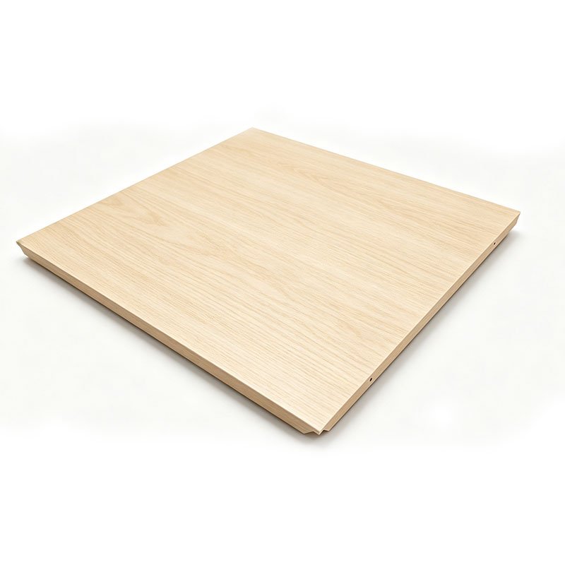 Lay-On Ceiling-1