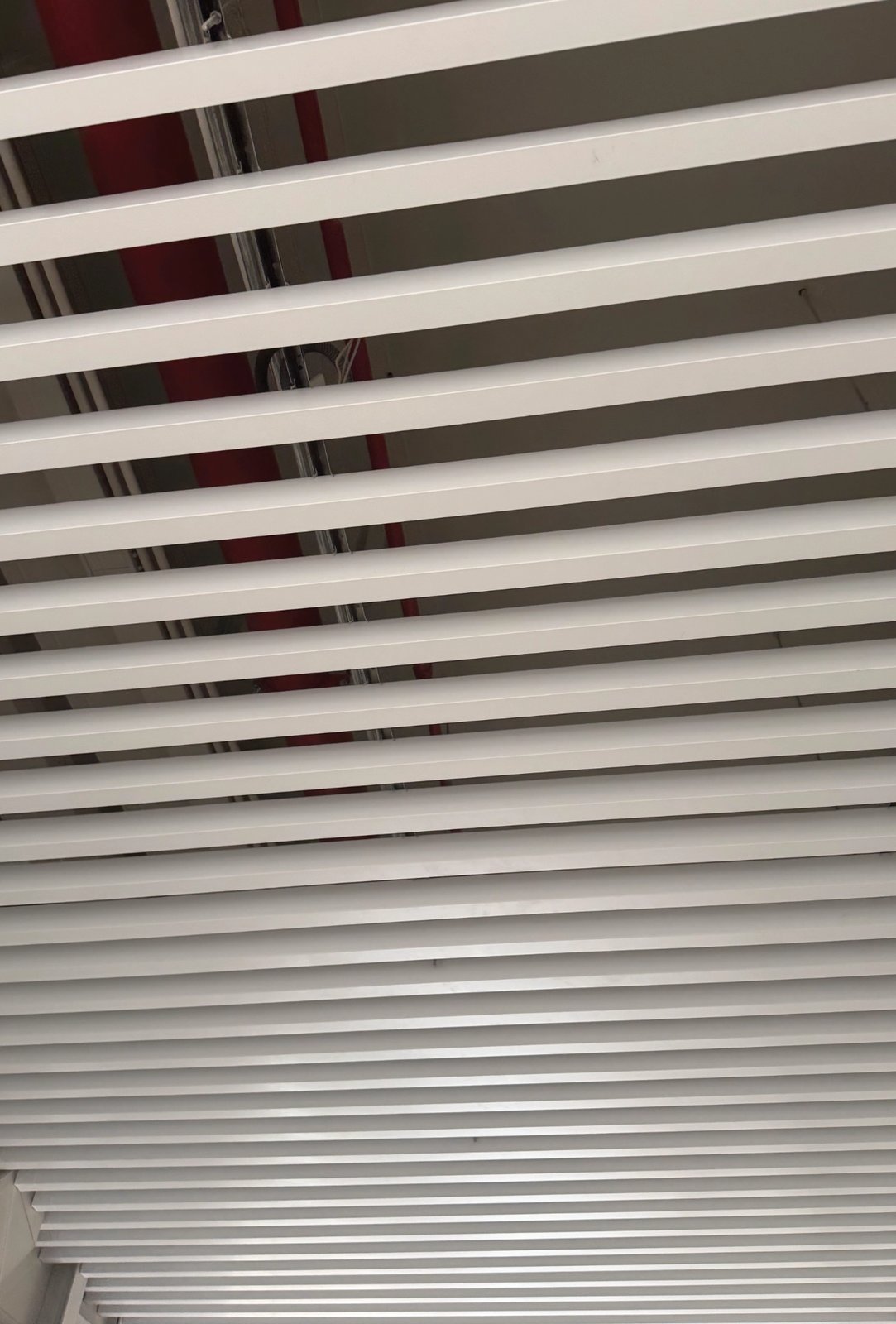 Looking up through white U-baffle aluminum ceiling with red fire pipe visible in the plenum